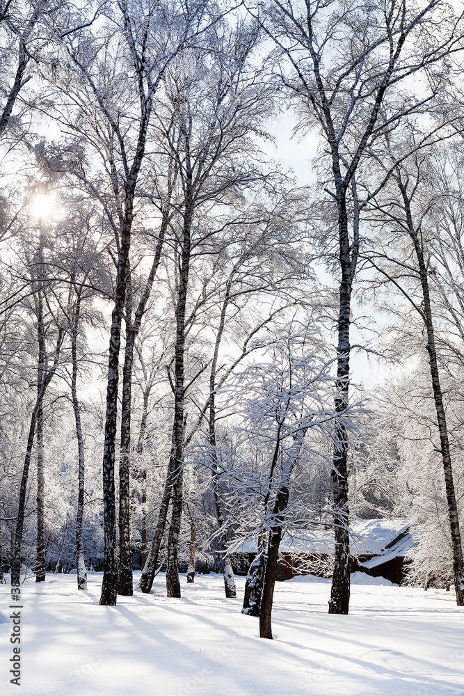 Winter Nature Landscape Winter Nature Landscape