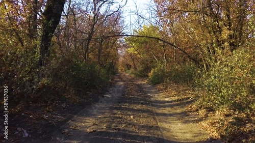 Moving on a path or dirt road in forest in yellow autumn