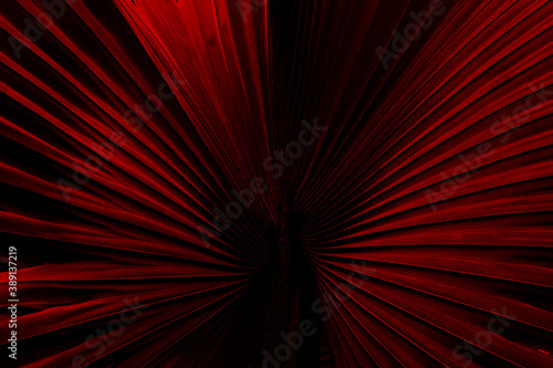 Abstract background of palm leaf illuminated in red