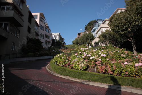 View of The famous Lombard street  under blue sky during autumn in San Francisco, California, USA
