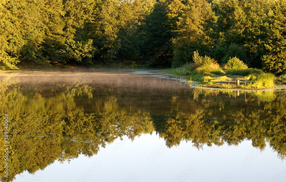 Light fog on a forest lake in the early Sunny summer morning.
