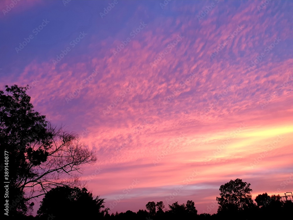 Fototapeta premium sunset in the sky