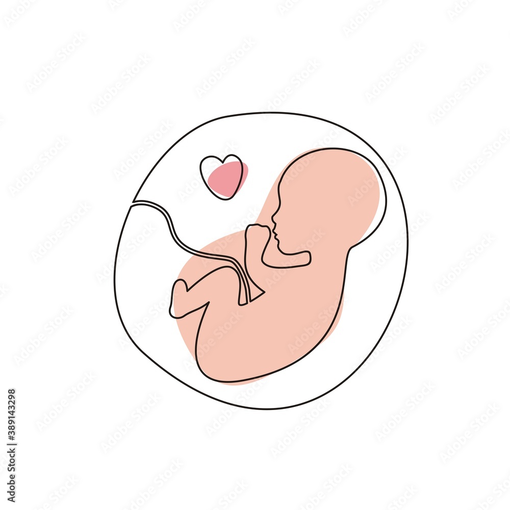 Silhouette of a baby in the womb Silhouette of a baby in the womb