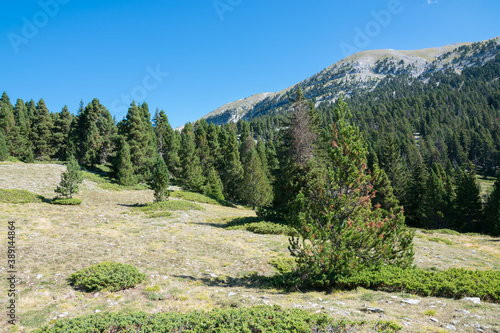 vercors photo