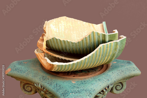 Pieces of broken flower pot