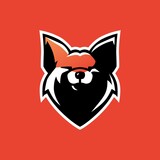 fox e sport logo vector icon illustration