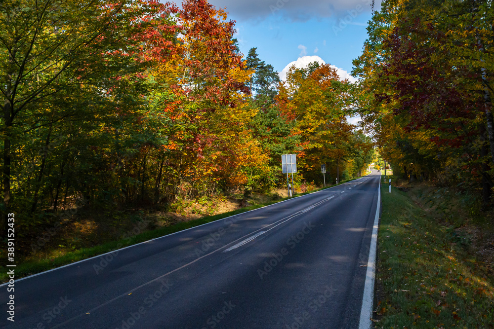 Fototapeta premium bunte Laubbäume im Herbst