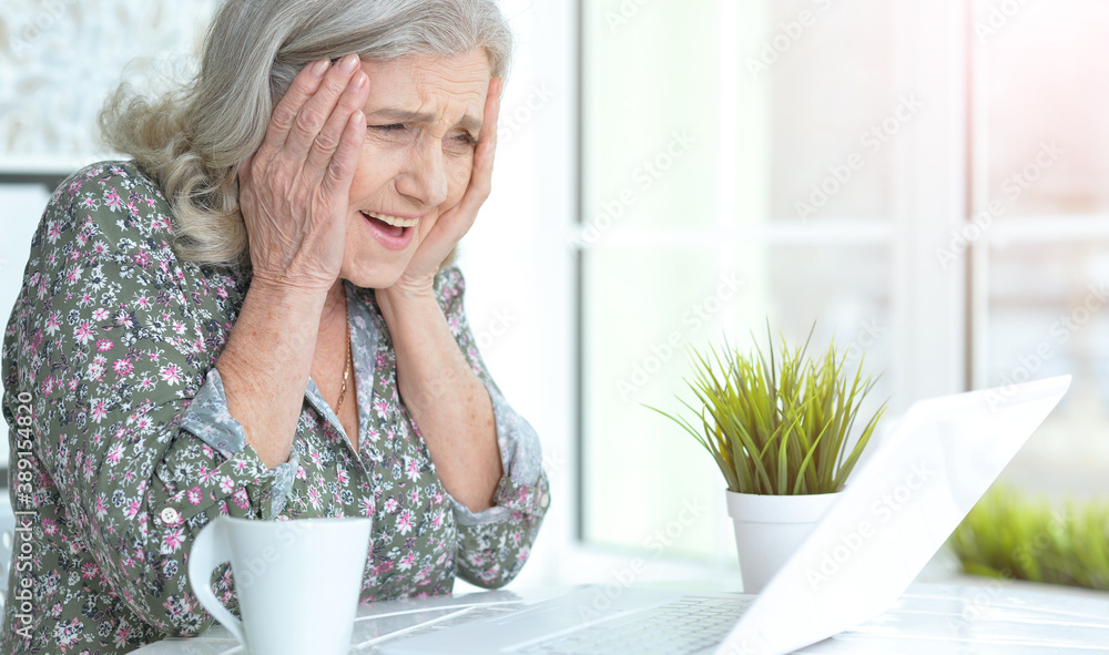 Portrait of happy senior woman using laptop Portrait of happy senior woman using laptop
