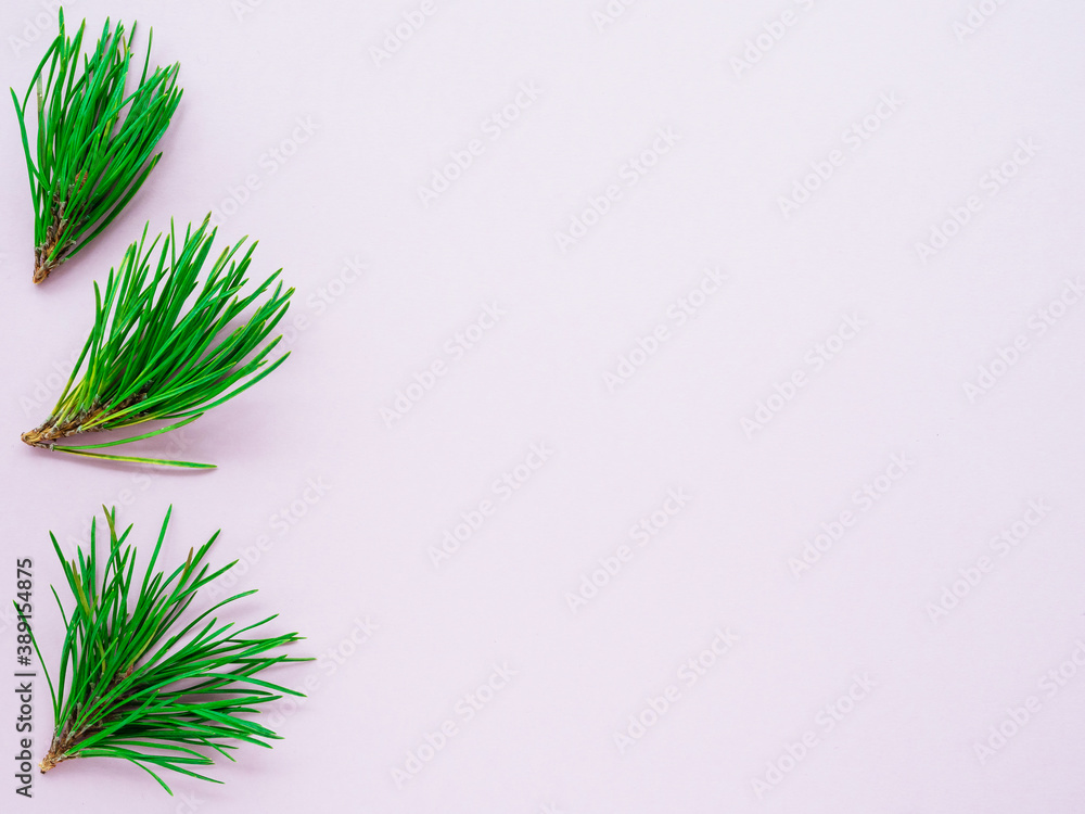 Fototapeta premium Green Christmas tree branches on a pink background, top view, copy space, flat lay