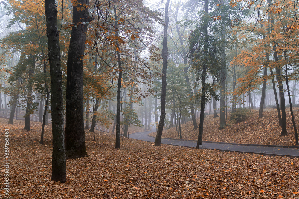 City park in the autumn, foggy morning. Gomel, Belarus. City park in the autumn, foggy morning. Gomel, Belarus.