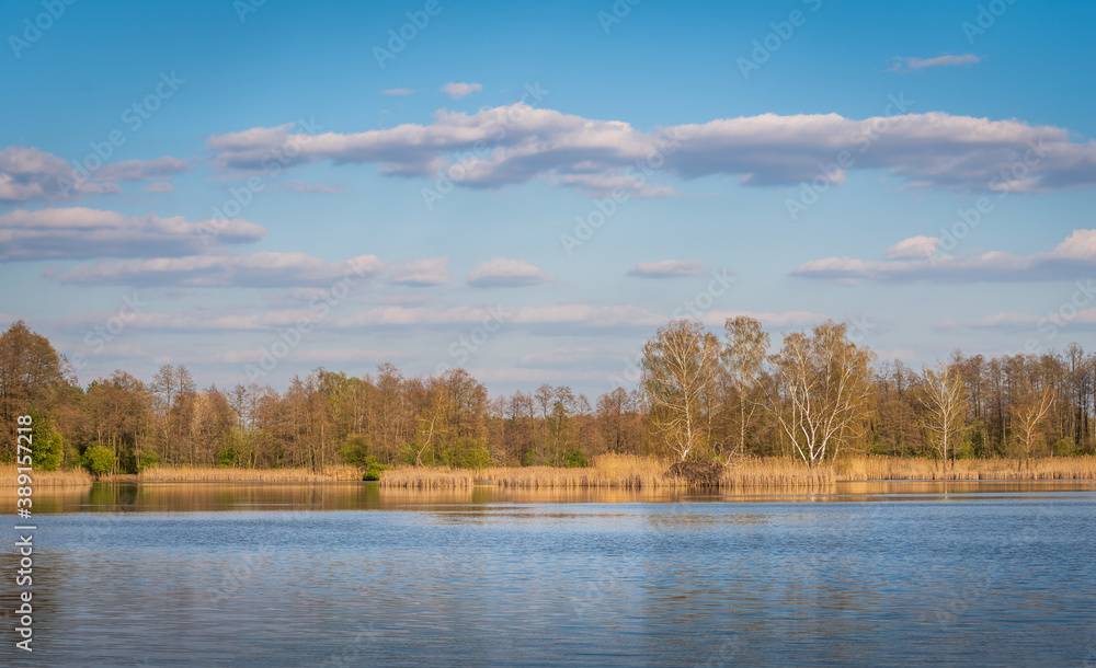 a spring evening by a beautiful lake surrounded by reeds