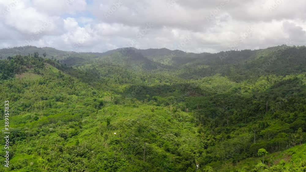 Hills covered with lush rainforest on the island of Mindanao, Philippines. Aerial view of the jungle. Hills covered with lush rainforest on the island of Mindanao, Philippines. Aerial view of the jungle.