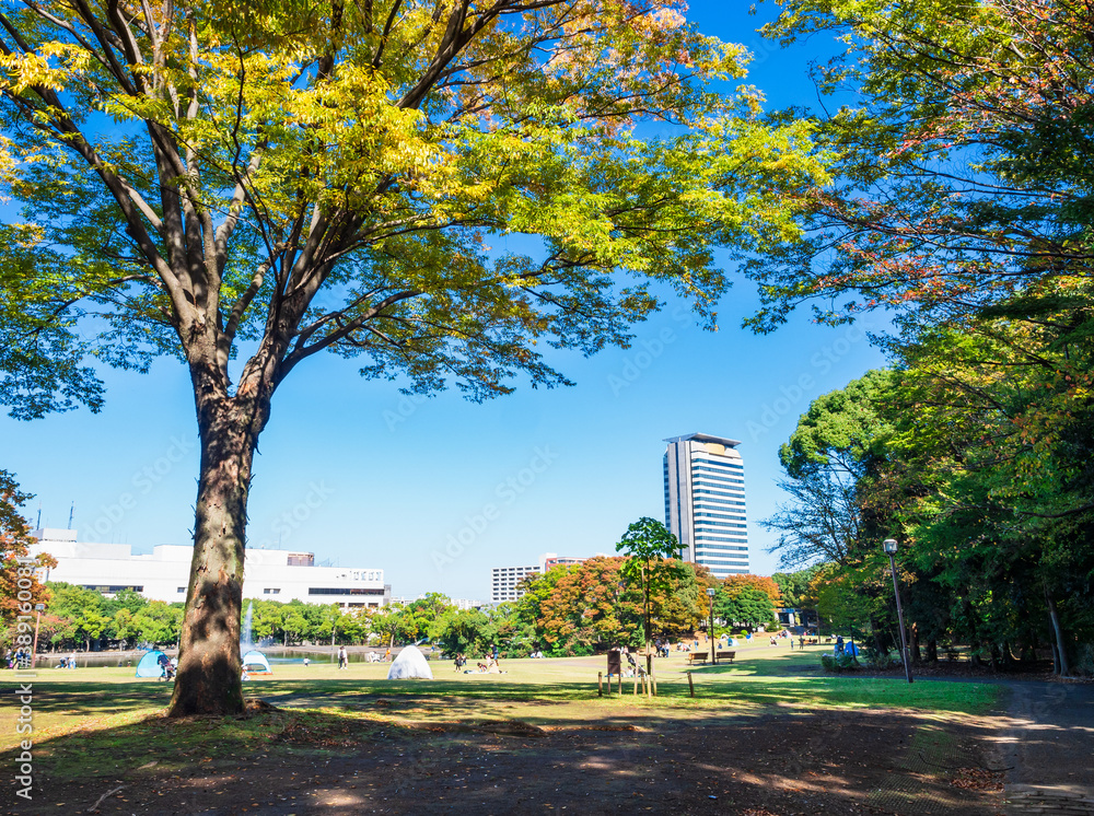 Naklejka premium 秋の公園 郊外の住宅地