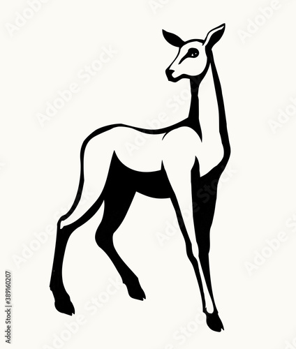 Beautiful female deer. Vector drawing