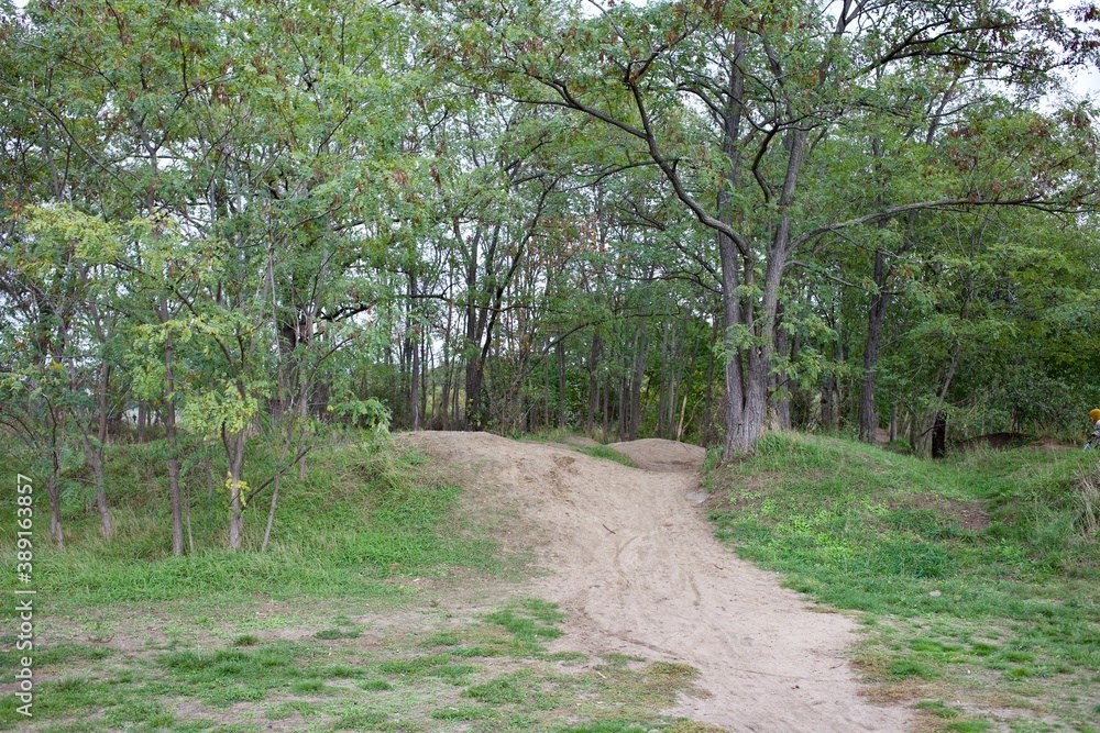Fototapeta premium Little sandy path going through green tree forest