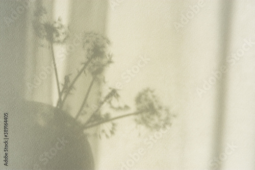 Wallpaper Mural Shadow natural background of dandelion flowers on beige paper. Abstract decorative natural composition in pastel shades. Neutral nature concept blurred background with space for text. Shades of earth. Torontodigital.ca