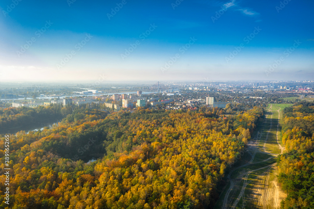 Aerial view of the autumnal forest in Gdansk. Poland