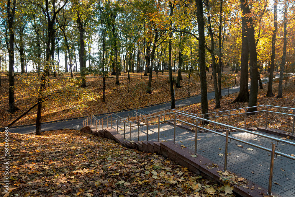 City park in the autumn, foggy morning. Gomel, Belarus. City park in the autumn, foggy morning. Gomel, Belarus.