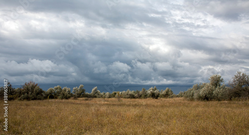 Scenic view of autumn steppe with rainy clouds.