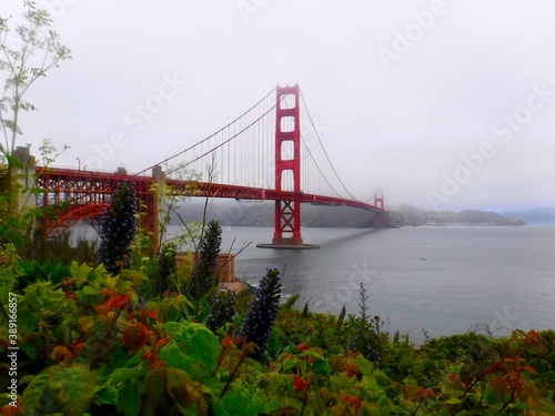 North America, United States, California, the Golden Bridge in San Francisco  © Giban