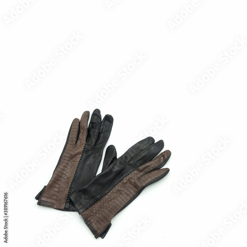 Autumn accessories. Women's gloves made of genuine thin soft brown leather. Embossed snake-like finish. Isolated over white background.