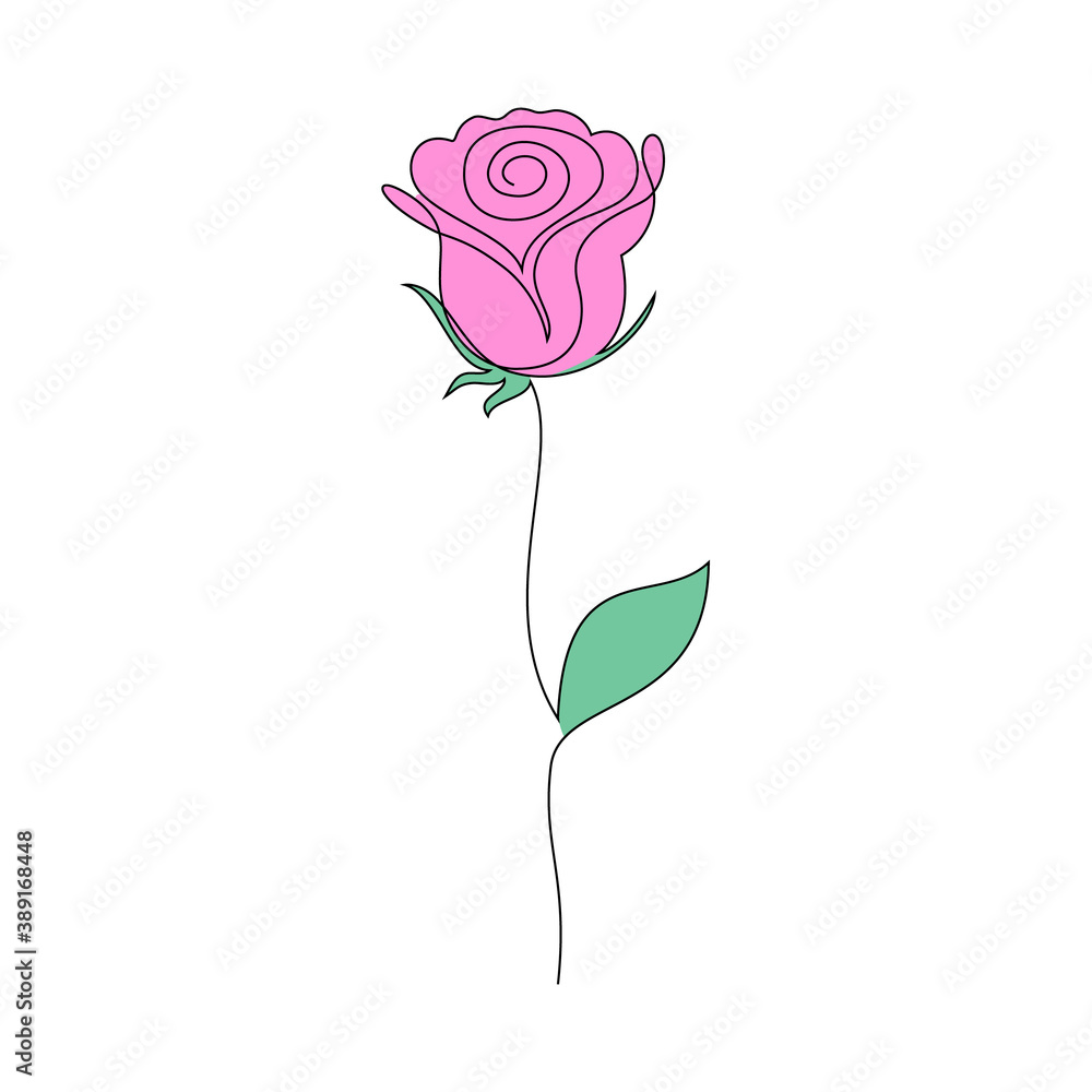 Fototapeta Rose flower on white