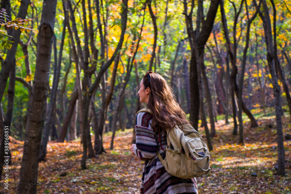 Beautiful woman in autumn and fall forest and wild, autumn tree with yellow and red leaves Beautiful woman in autumn and fall forest and wild, autumn tree with yellow and red leaves