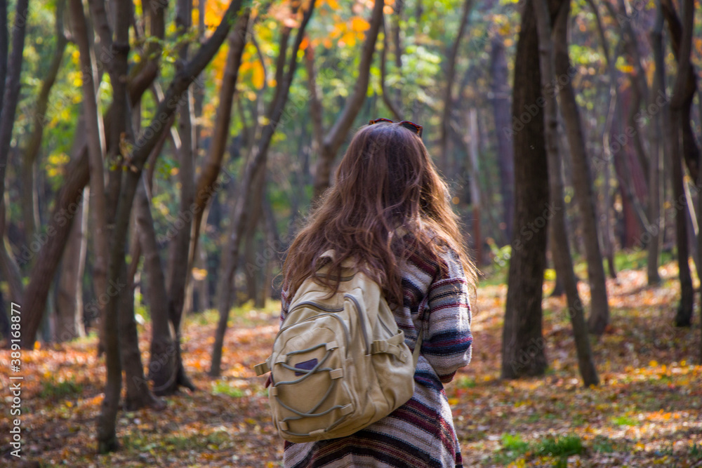 Beautiful woman in autumn and fall forest and wild, autumn tree with yellow and red leaves Beautiful woman in autumn and fall forest and wild, autumn tree with yellow and red leaves