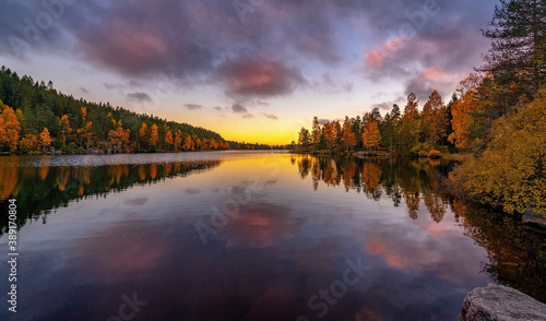 Autumn forest reflection in lake © Katrine