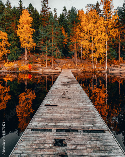 Photography Vibrant autumn landscape scenery
