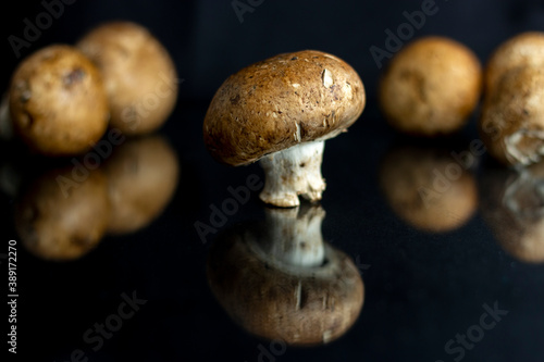 mushrooms on a black background