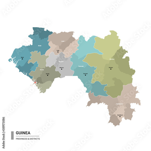 Guinea higt detailed map with subdivisions. Administrative map of Guinea with districts and cities name  colored by states and administrative districts. Vector illustration with editable and labelled 