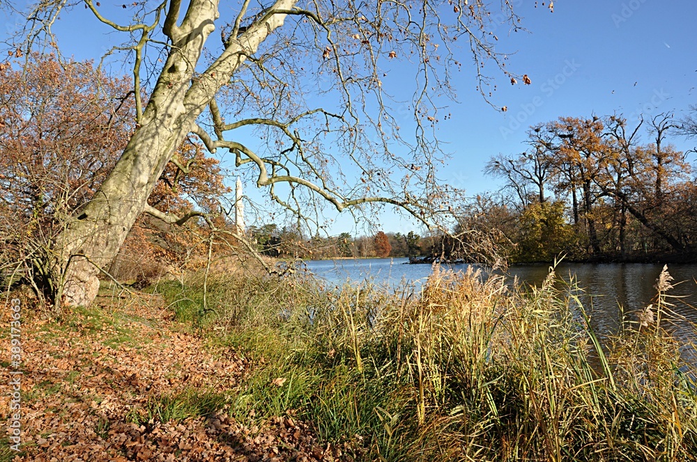 romantic landscape , pond in autumn romantic landscape , pond in autumn