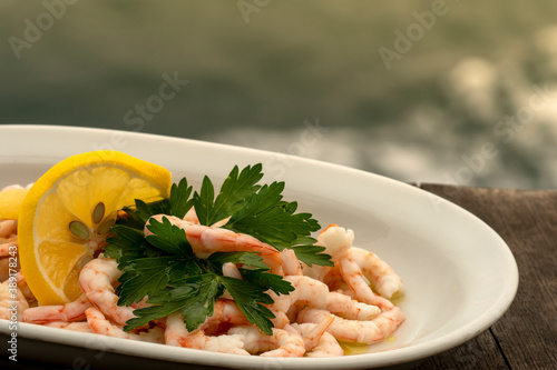 Turkish food appetizerson on white table. photo