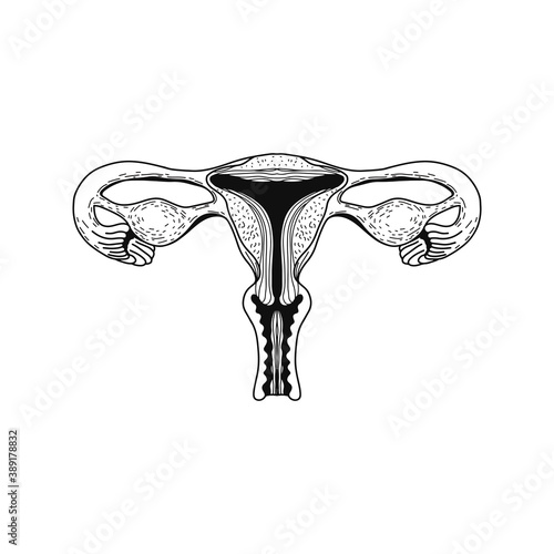 Vector realistic female reproductive system. Eps 10 illustration can be used for party invitation, design template, greeting card, patterns fill, posters,logo, tattoo, branding. Design element 