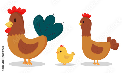 Cute cartoon chickens set on white background. Rooster, hen, chicken.