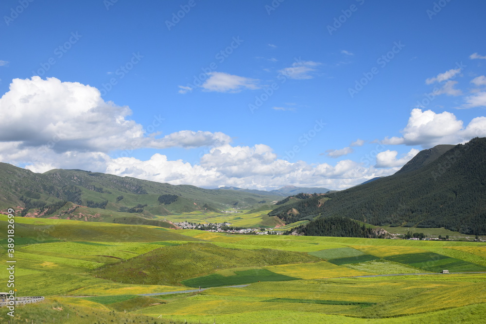 Sunny green and yellow valley with mountain backdrop, blue skies with clouds, autumn time, Qilian, Qinghai, China