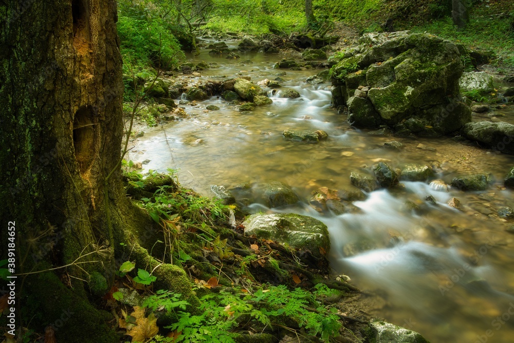 Flowing stream in autumn forest Flowing stream in autumn forest