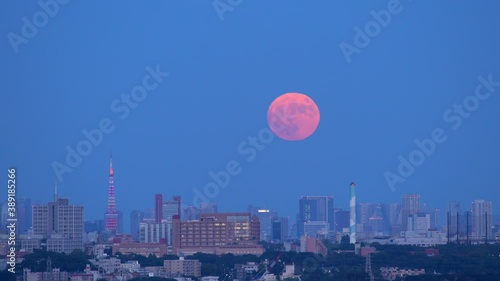 Blue moon rise in tokyo photo