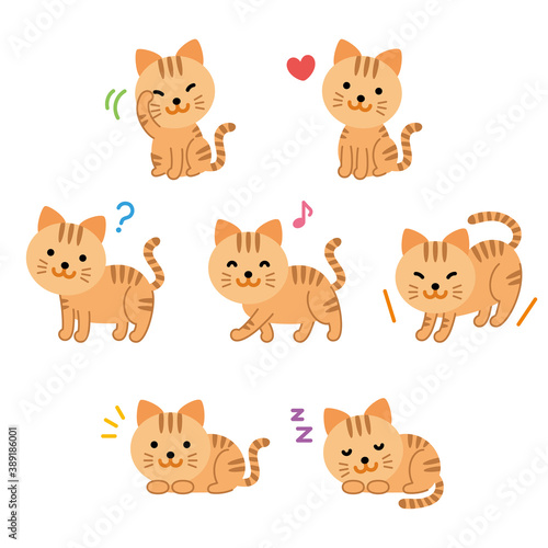 トラ猫セット