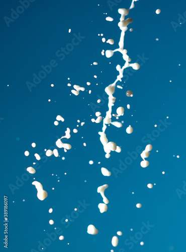 Fototapeta Naklejka Na Ścianę i Meble -  Splashes of white milk isolated on a blue background.