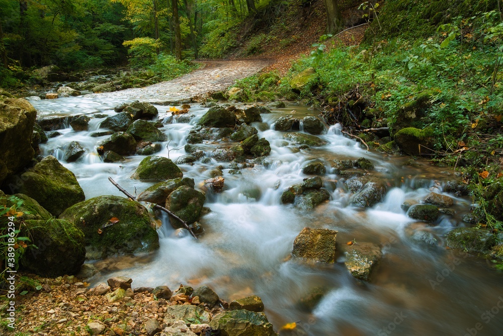 Obraz premium Flowing stream in autumn forest