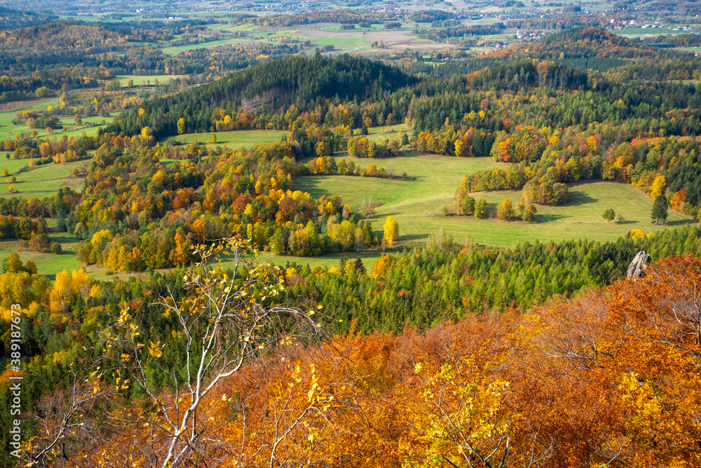beautiful autumn landscape with colorful trees and green fields