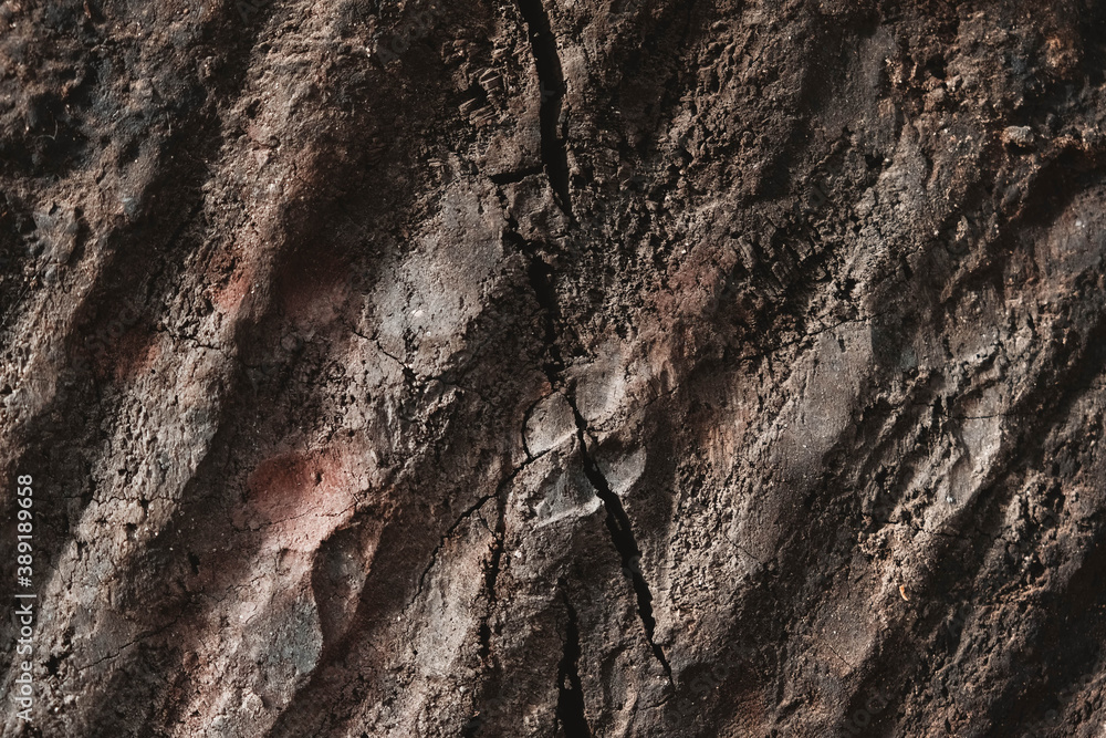Old brown wooden texture with cracks and scratches as a background image. Copy, empty space for text Old brown wooden texture with cracks and scratches as a background image. Copy, empty space for text