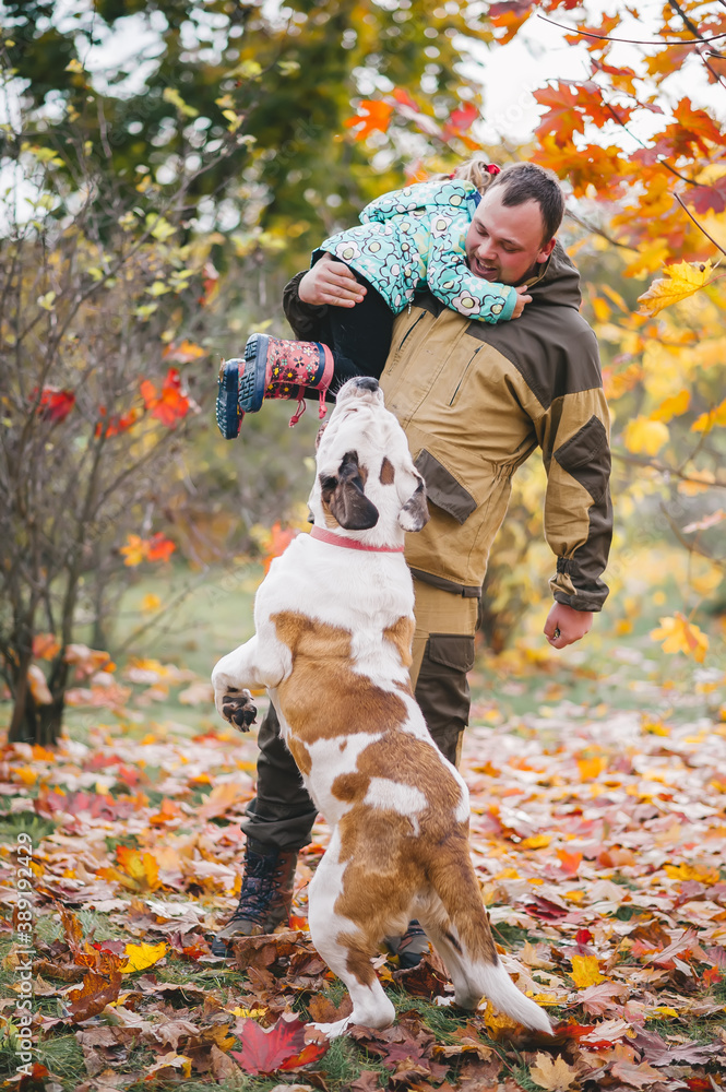 Father with his little daughter and big dog are playing in autumn park