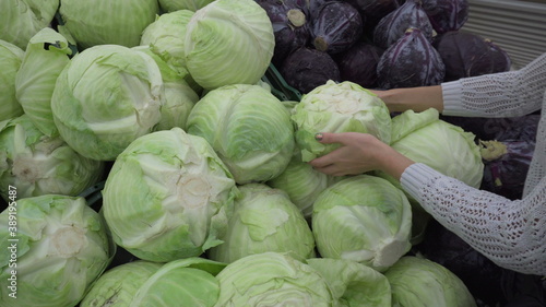Young woman chooses green cabbage at the market. Girl's hands close-up.