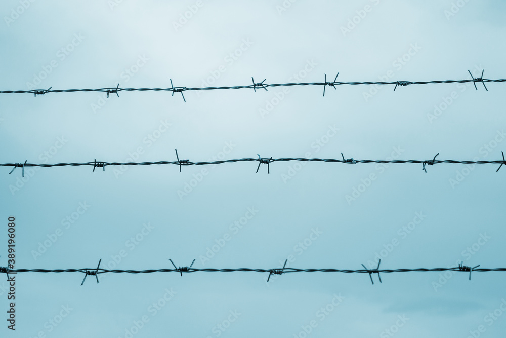 Barbed wire fence. Concept of prison, salvation, refugee, lonely. Barbed wire fence. Concept of prison, salvation, refugee, lonely.