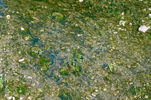 background of a rocky bottom with silt and algae of a transparent shallow river close up