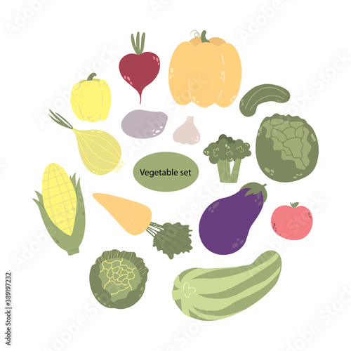 Fototapeta Naklejka Na Ścianę i Meble -  Set of vegetables in cartoon style. Vector image. Isolated on white