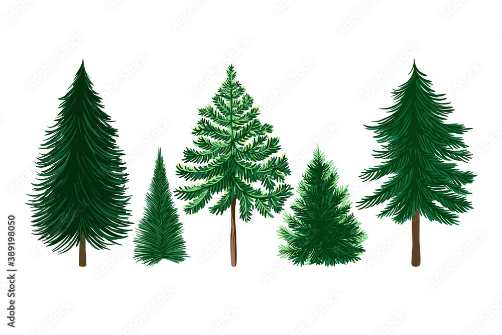 Obraz premium . Christmas trees set. Cartoon vector illustration.. Isolated design objects on a white background. Clipart..